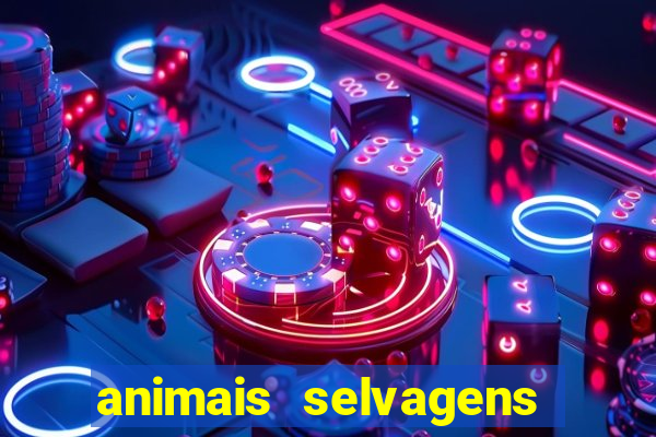 animais selvagens fotos e nomes